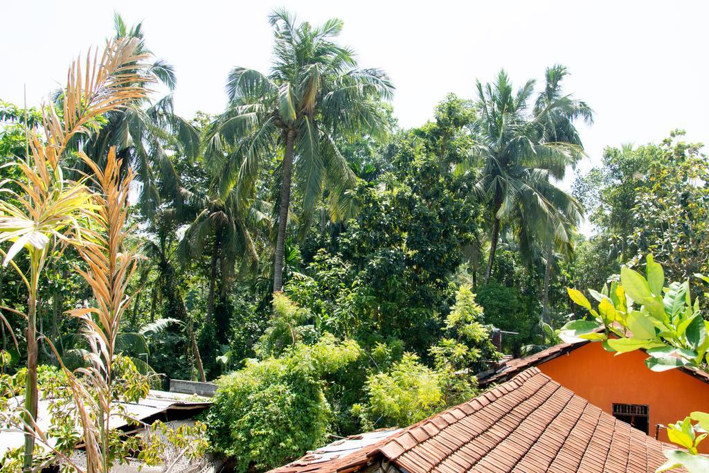 Garden Inn Mirissa Exterior foto