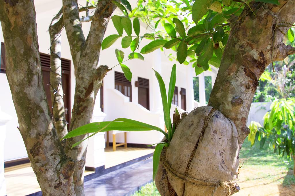 Garden Inn Mirissa Exterior foto